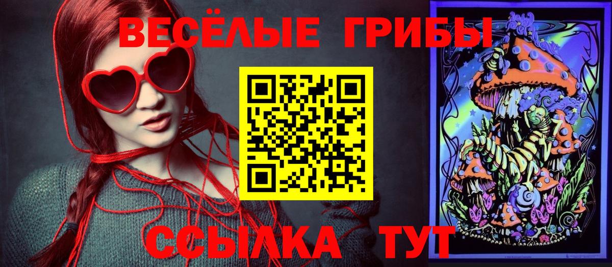 Галлюциногенные грибы прущие грибы Балашов
