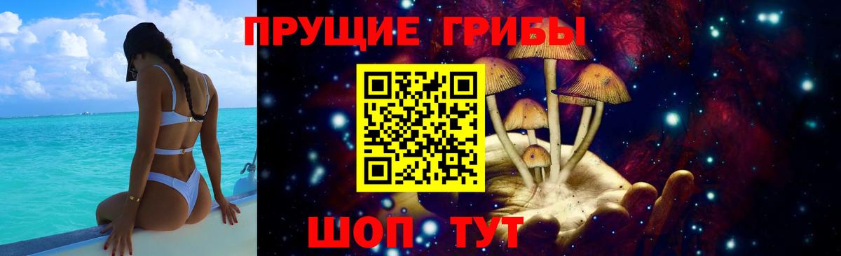 Балашов  Псилоцибиновые грибы MAGIC MUSHROOMS  Вход с VPN  Псилоцибиновые грибы Psilocybine cubensis 